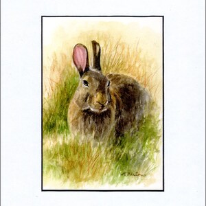 May include: A watercolor painting of a brown rabbit sitting in tall grass. The rabbit has pink ears and is looking directly at the viewer.