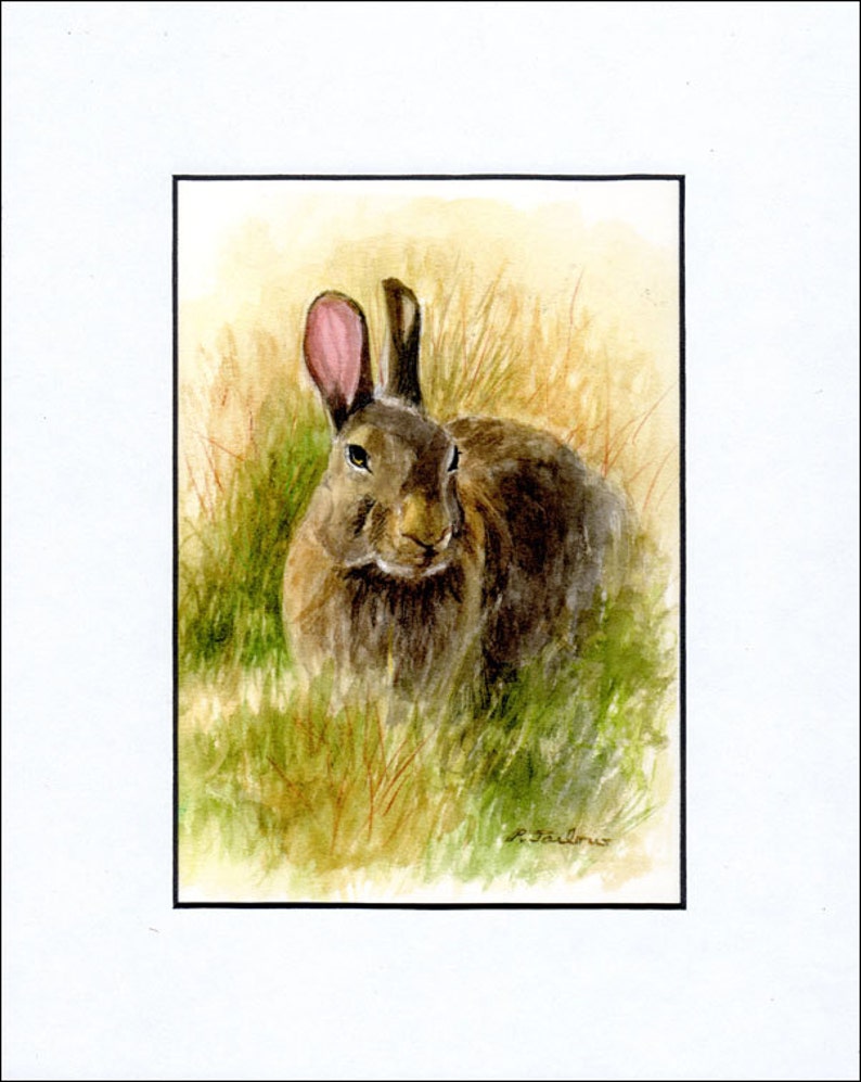 May include: A watercolor painting of a brown rabbit sitting in tall grass. The rabbit has pink ears and is looking directly at the viewer.