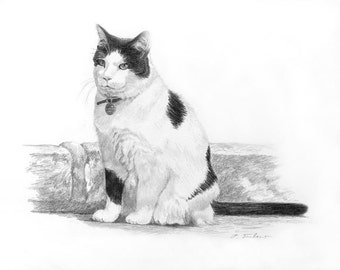 Black and White Cat Drawing Art Print, Black and White Cat Drawing, Tuxedo Cat Drawing Print, Cat Graphite Pencil Drawing by P. Tarlow