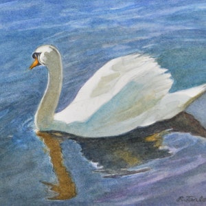 Swan On Lake Art Print, Swan in Water, Bird Landscape Art, Bird in Nature, Swan Watercolor by P. Tarlow