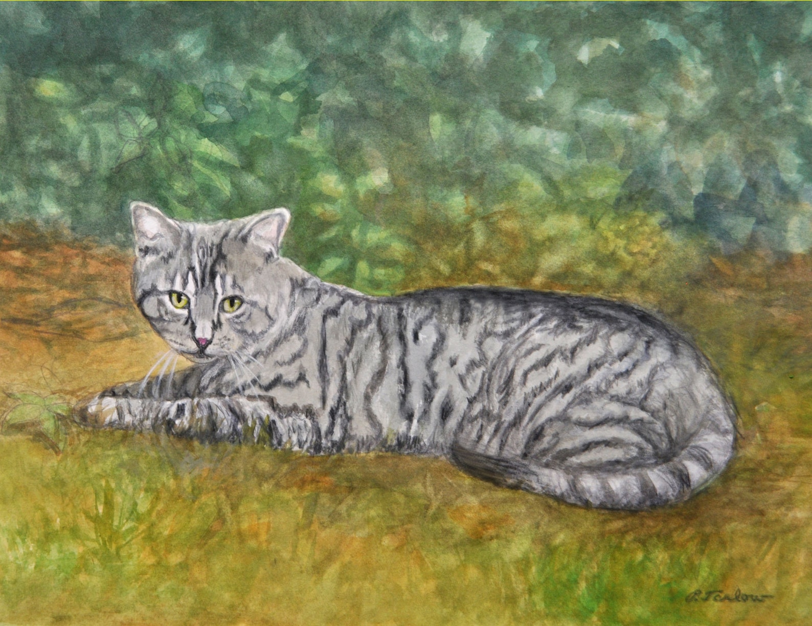 Tabby Cat Art Print Tabby Cat Watercolor Tiger Striped Tabby - Etsy