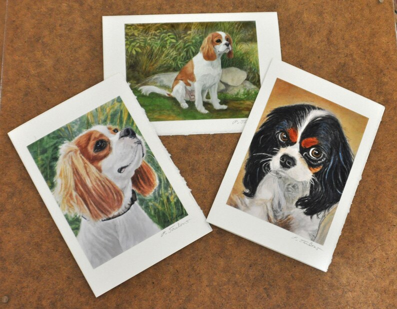 Cavalier King Charles Spaniel 5x7 Art Notecards Set Of 3 Etsy