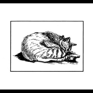 Tabby Cat Pen and Ink Drawing, Cat Pen and Ink Print, Tabby Cat Print, Tabby Cat Pen & Ink Illustration, Cat Art by P. Tarlow image 2