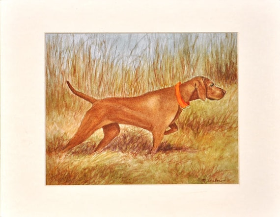 Vizsla Pointing Print Vizsla Art Hunting Dog Print Vizsla