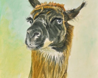 Llama Watercolor Art Print, Farmyard Animal Print, Farm Animal Watercolor Art, Home Decor Wall Art by P. Tarlow