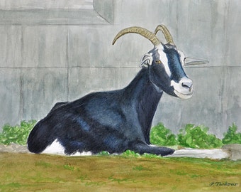 Goat Art Print, Farmyard Animal Print, Farm Animal, Black, White Goat Art, Goat Watercolor Art, Home Decor Wall Art by P. Tarlow