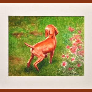 Vizsla Dog Art Print, Vizsla Puppy in Garden Print, Vizsla Puppy Art, Dog Watercolor Art Print, Vizsla Watercolor Painting by P. Tarlow image 6