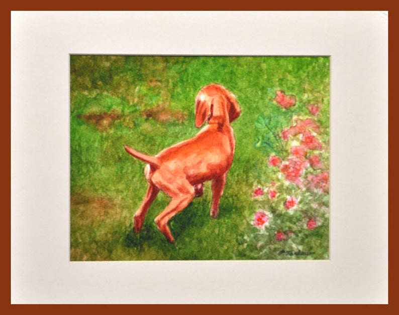 Vizsla Dog Art Print, Vizsla Puppy in Garden Print, Vizsla Puppy Art, Dog Watercolor Art Print, Vizsla Watercolor Painting by P. Tarlow image 6