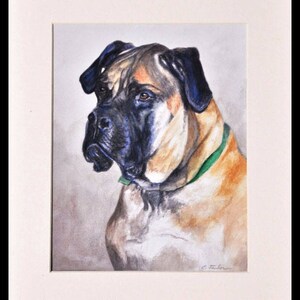 May include: Watercolor painting of a brown and black Bullmastiff dog with a green collar. The dog is looking to the left of the image.