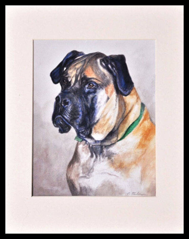May include: Watercolor painting of a brown and black Bullmastiff dog with a green collar. The dog is looking to the left of the image.