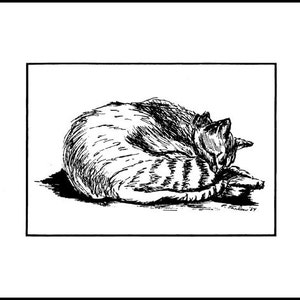 Tabby Cat Pen and Ink Drawing, Cat Pen and Ink Print, Tabby Cat Print, Tabby Cat Pen & Ink Illustration, Cat Art by P. Tarlow image 7