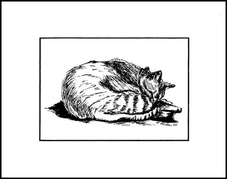 Tabby Cat Pen and Ink Drawing, Cat Pen and Ink Print, Tabby Cat Print, Tabby Cat Pen & Ink Illustration, Cat Art by P. Tarlow image 7