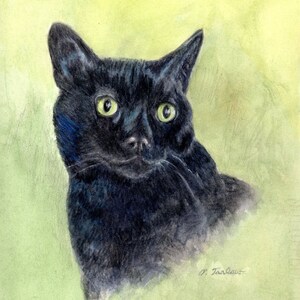 Black Cat Art Print, Black Cat Portrait Art, Black Cat Watercolor and Colored Pencil Portrait Painting by P. Tarlow