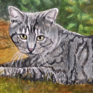 Tabby Cat Art Print, Tiger Cat Print, Striped Tabby Cat Art, Gray and Black Tabby Cat Watercolor, Tiger Cat Portrait by P. Tarlow