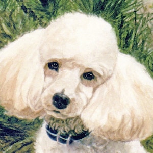 Poodle Portrait Head Art Print, Dog Head Portait Art Print, Poodle Watercolor Portrait Print from Original Painting by P. Tarlow