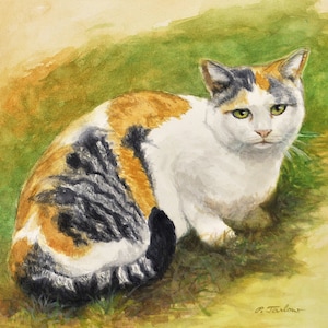 Calico Cat Art Print, Ginger, White and Black Tabby Print, Calico Cat on Grass Print, Cat Art Print, Cat Watercolor by P. Tarlow