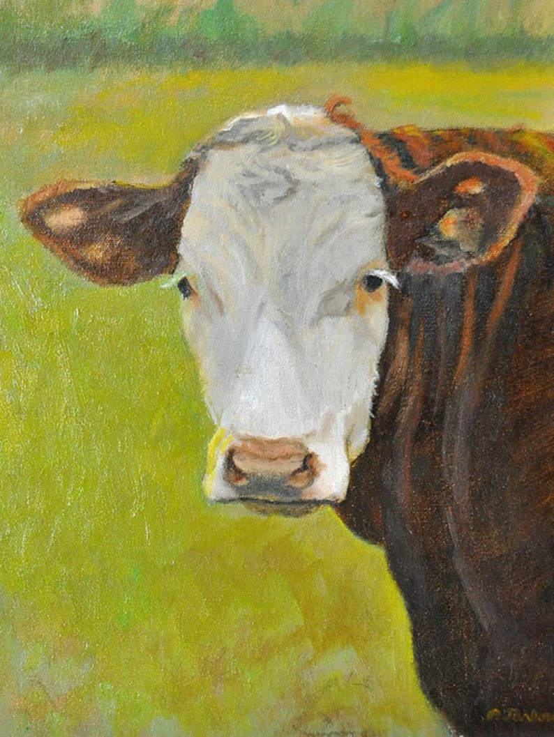 Hereford Cow Art Print Cow Painting Hereford Cow Portrait Etsy