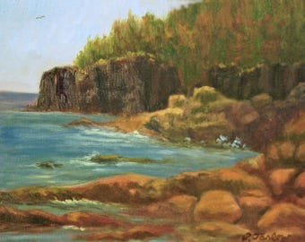 Può includere: Un dipinto di una costa rocciosa con una scogliera e alberi sullo sfondo. L'acqua è di un azzurro chiaro e le rocce sono di vari toni di marrone e rosso.