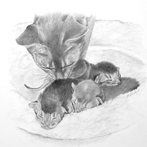 May include: A black and white pencil drawing of a mother cat with three kittens. The mother cat is curled around the kittens, who are sleeping.