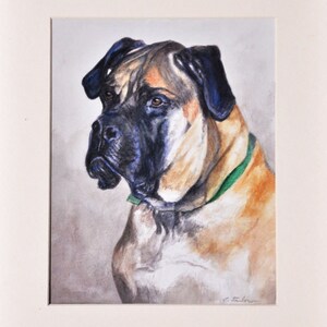 May include: Watercolor painting of a brown and black Bullmastiff dog with a green collar. The dog is looking to the left of the image.