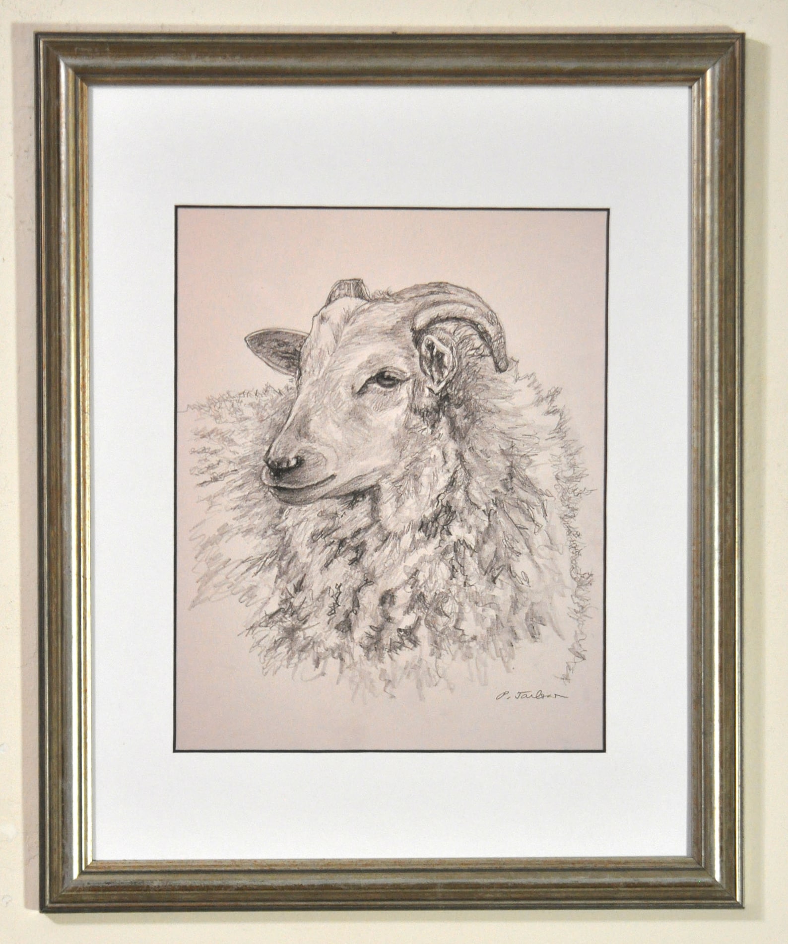 Sheep Pencil Drawing Art Print Sheep Portrait Farm Animal Etsy