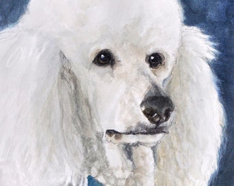 Poodle Art Print, White Poodle Art, Standard White Poodle Print, Poodle Portrait Art, Poodle Watercolor Print, Dog Art Print by P. Tarlow