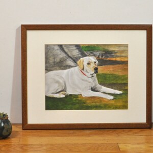 May include: A framed watercolor painting of a white Labrador Retriever lying down in a grassy field. The dog is wearing a red collar and has a brown nose.