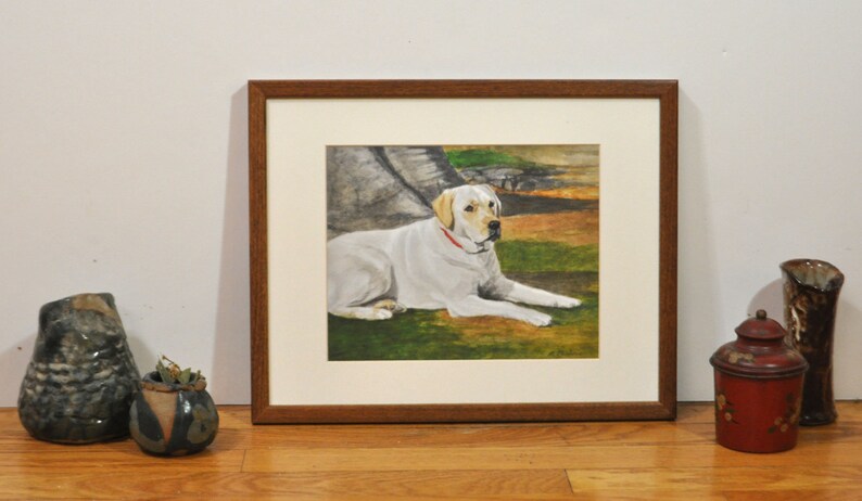 May include: A framed watercolor painting of a white Labrador Retriever lying down in a grassy field. The dog is wearing a red collar and has a brown nose.