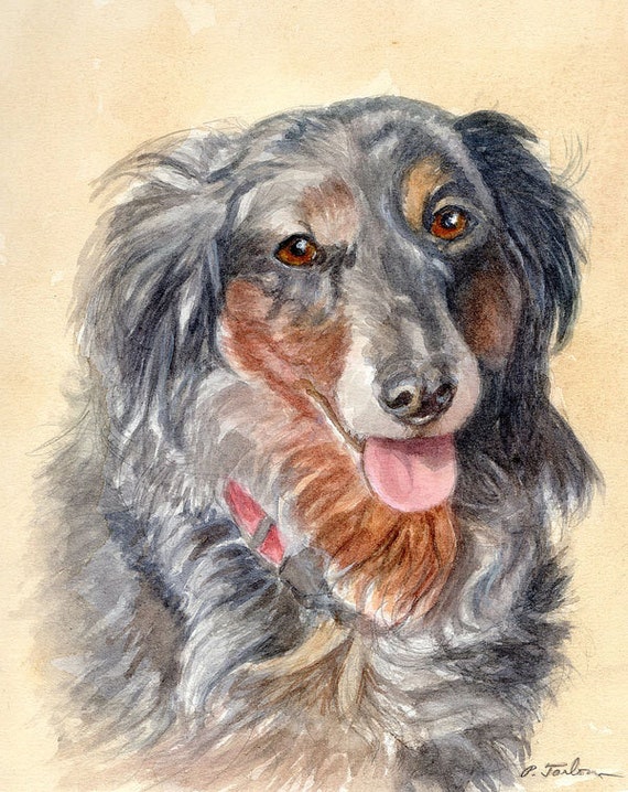 Dachshund Dog Art Print Long Haired Dachshund Art Dog Art Etsy