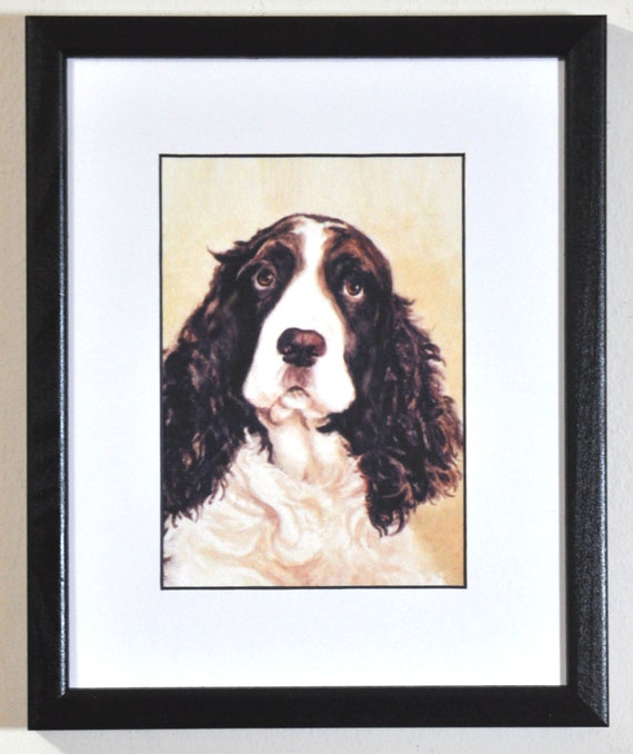 English Springer Spaniel Portrait Art Springer Spaniel Etsy