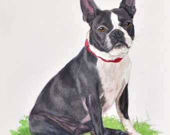 Boston Terrier Art Print, Boston Terrier Watercolor Painting, Dog Watercolor Print, Dog Art from Painting by P. Tarlow