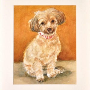 Havanese Dog Art Print, Havanese Dog Watercolor, Cute Havanese Dog Sitting Art, Dog Art Print, Havanese Watercolor Art Print by P. Tarlow
