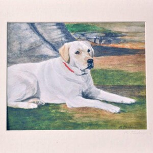 May include: A watercolor painting of a white Labrador Retriever lying down with its head turned to the side. The dog is wearing a red collar and is set against a green grassy background.