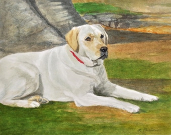 Yellow Lab in Nature Art Print, Yellow Labrador Retriever Resting on Ground, Dog Art Print, Labrador Watercolor Painting by P. Tarlow