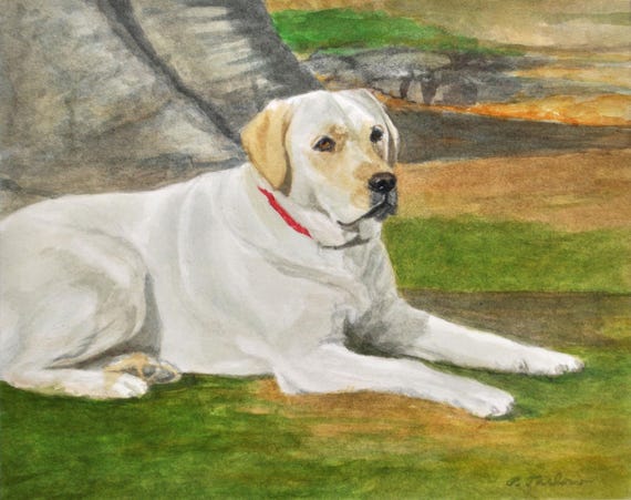 Yellow Lab in Nature Art Print, Yellow Labrador Retriever Resting on Ground, Dog Art Print, Labrador Watercolor Painting by P. Tarlow