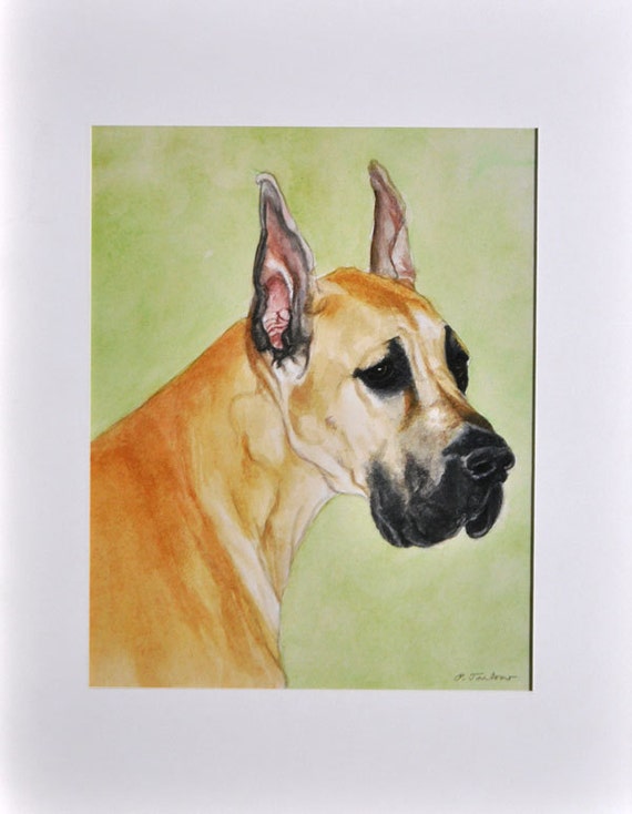 Great Dane Watercolor Art Print, Fawn Color Great Dane Portrait,great Dane  Art, Dog Watercolor Painting by P. Tarlow - Etsy