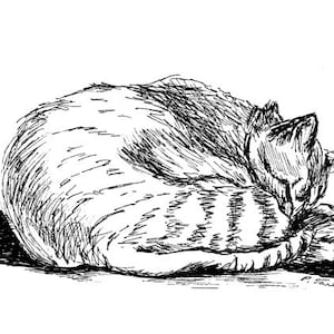 Tabby Cat Pen and Ink Drawing, Cat Pen and Ink Print, Tabby Cat Print, Tabby Cat Pen & Ink Illustration, Cat Art by P. Tarlow image 1