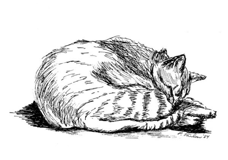 Tabby Cat Pen and Ink Drawing, Cat Pen and Ink Print, Tabby Cat Print, Tabby Cat Pen & Ink Illustration, Cat Art by P. Tarlow image 1