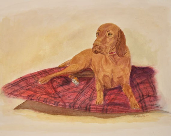 etsy vizsla