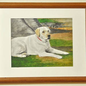 May include: A watercolor painting of a white Labrador Retriever dog lying on its side on a green grassy field. The dog has a red collar and is looking to the left of the image.