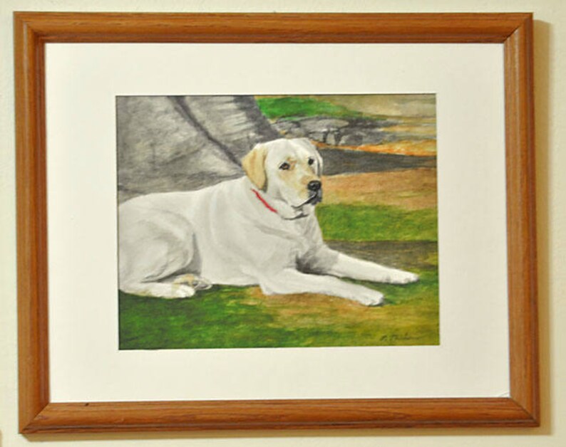 May include: A watercolor painting of a white Labrador Retriever dog lying on its side on a green grassy field. The dog has a red collar and is looking to the left of the image.