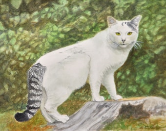 White Cat With Tabby Tail Art Print, Cat Art, Turkish Van Cat Print from Watercolor Painting by P. Tarlow