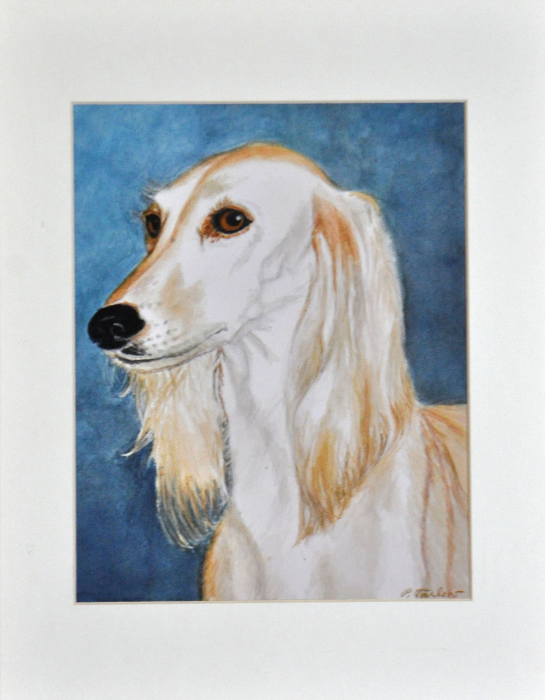 Buy Egyptian Saluki Art Print, Saluki Dog Portrait Art, Dog Art Print,  Saluki Watercolor Art Print by Tarlow Online in India