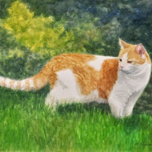 Orange Cat Art, Orange & White Cat Print, Cat in Garden Watercolor Art Print, Cat Lover Gift, Cat in Nature Painting by P. Tarlow