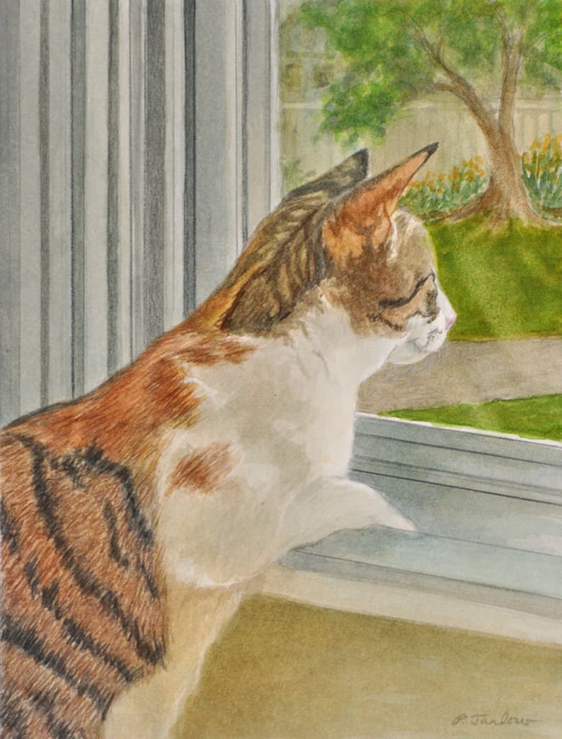 Orange Tabby Print Tabby Cat Art Calico Cat Orange Tabby Etsy