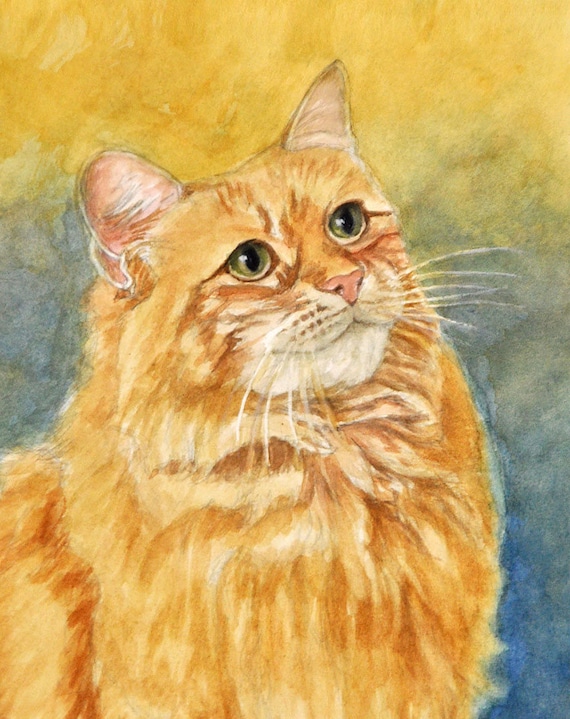 orange marmalade cat
