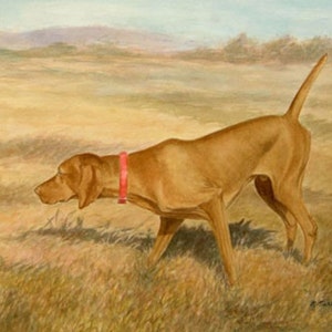 Vizsla Art Print, Vizsla in Field Print, Hunting Dog Watercolor, Dog Art Print, Vizsla Watercolor from Painting by P Tarlow