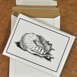 Tabby Cat Pen and Ink Notecards, Cat Greeting Cards Set of 4 5x7 Blank ...
