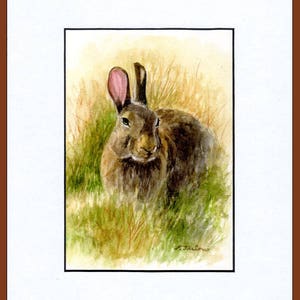 May include: A watercolor painting of a brown rabbit sitting in tall grass. The rabbit has pink ears and is looking directly at the viewer. The painting is signed "L.Tailor" in the bottom right corner.
