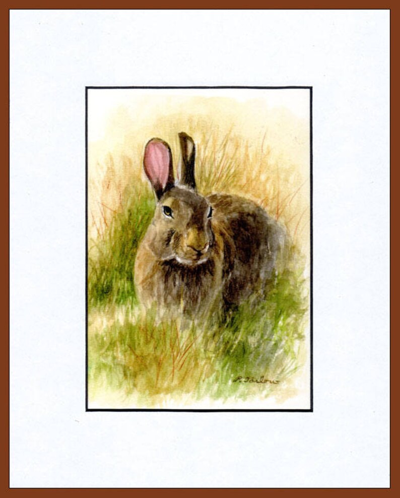May include: A watercolor painting of a brown rabbit sitting in tall grass. The rabbit has pink ears and is looking directly at the viewer. The painting is signed "L.Tailor" in the bottom right corner.